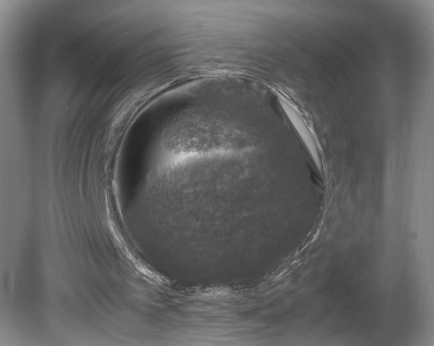 X0000081570097200701221103