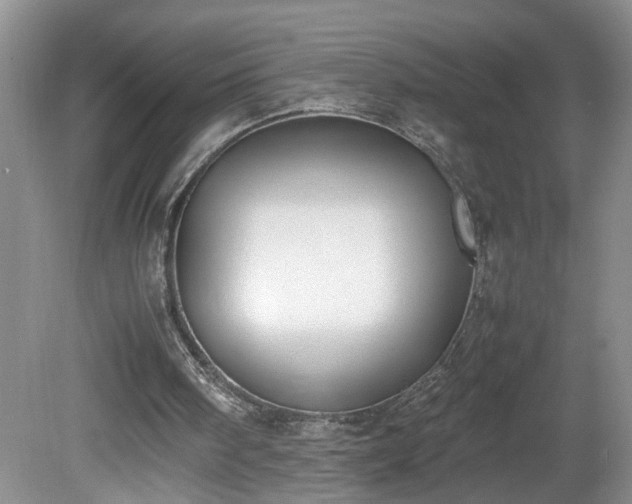 X0000081570098200701221103