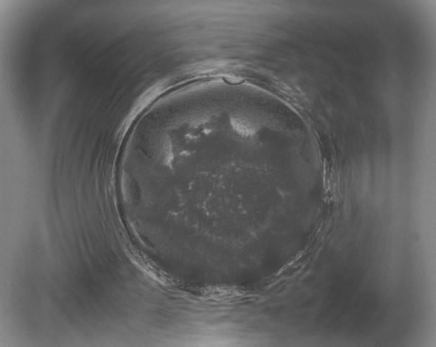 X0000081570099200701221103