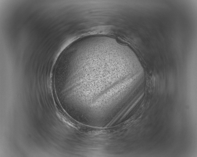 X0000081570100200701221103