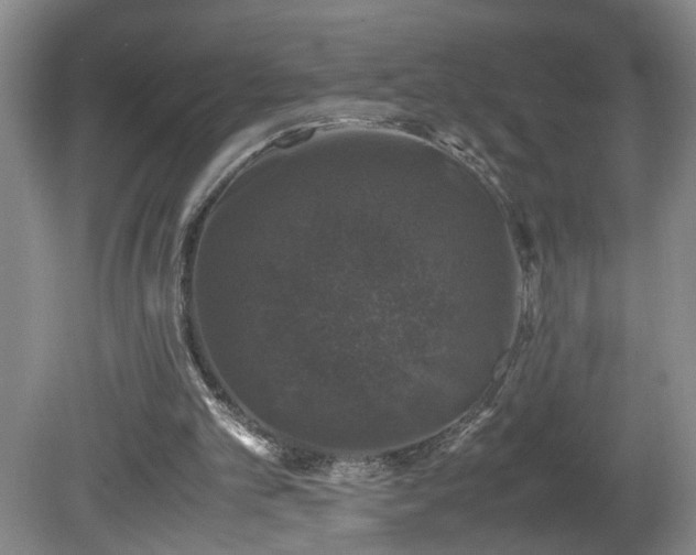 X0000081570101200701221103