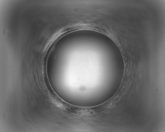 X0000081570103200701221103