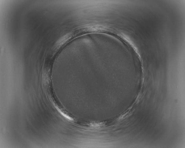 X0000081570105200701221103