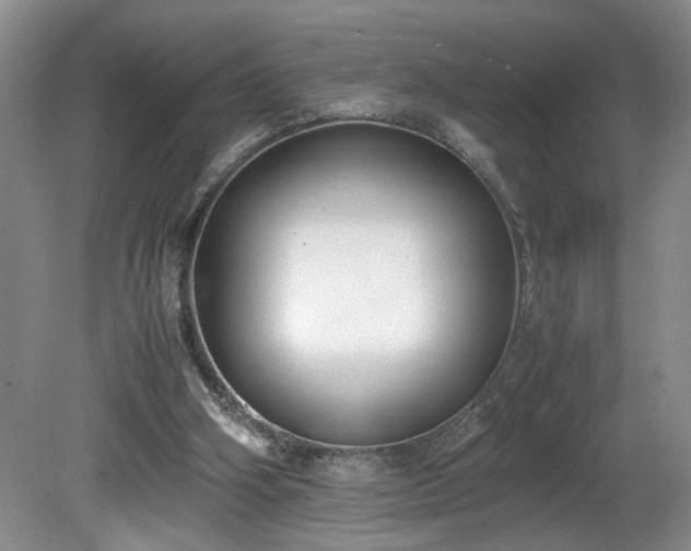 X0000081570106200701221103