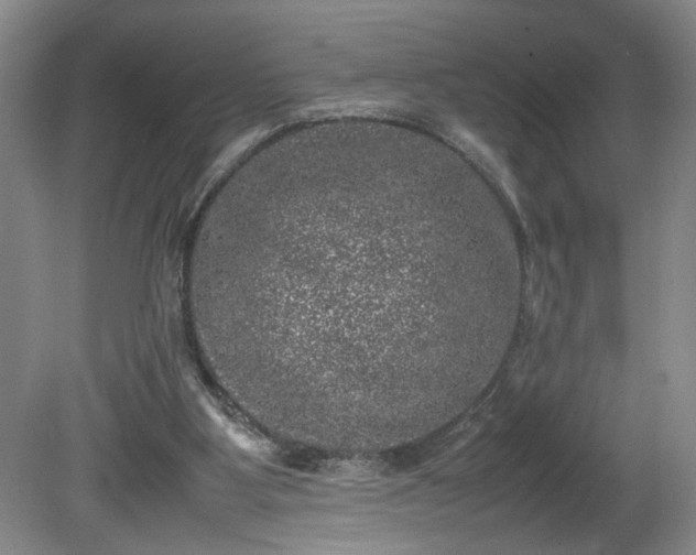 X0000081570107200701221103