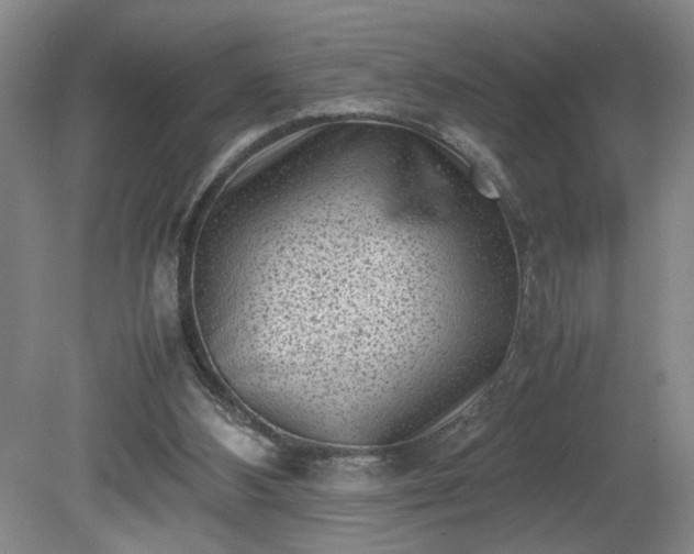 X0000081570108200701221103