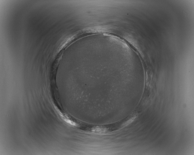 X0000081570109200701221103