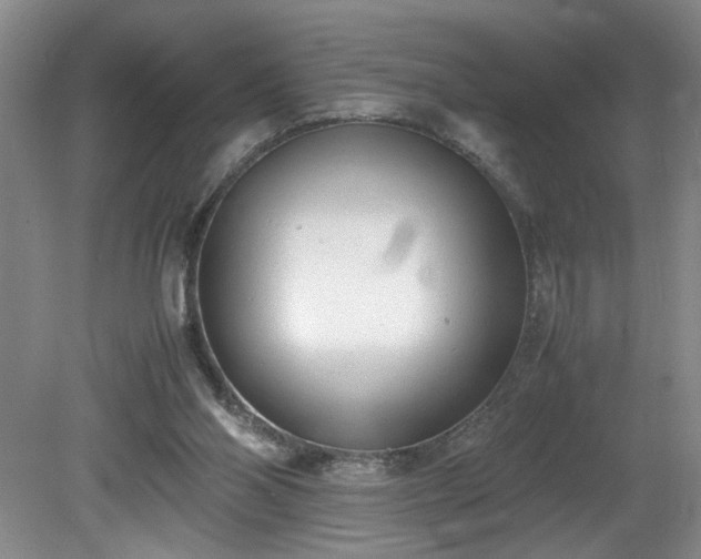 X0000081570110200701221103