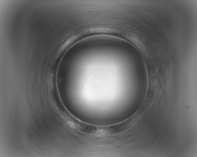 X0000081570111200701221103