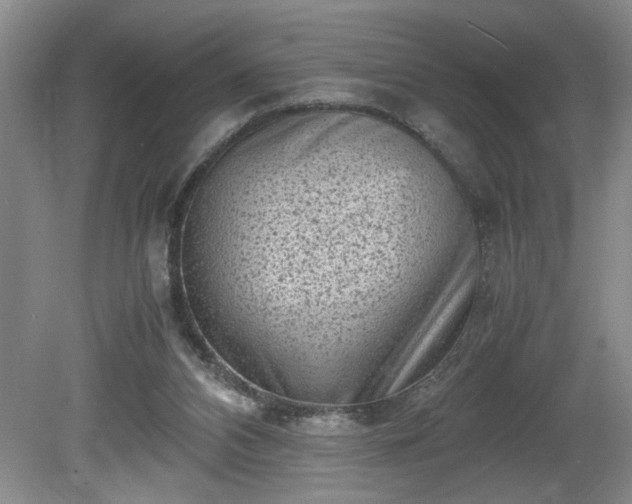 X0000081570112200701221103