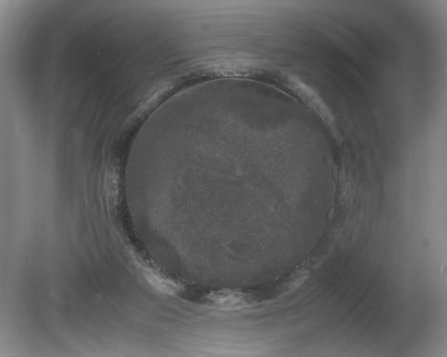 X0000081570113200701221103