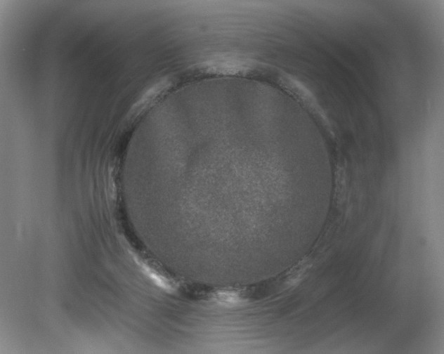 X0000081570114200701221103