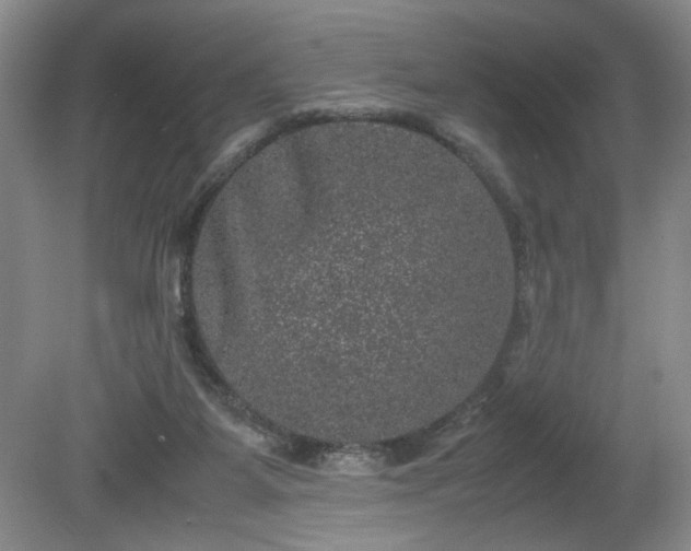 X0000081570115200701221103