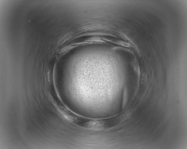 X0000081570117200701221103