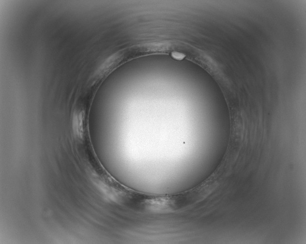 X0000081570118200701221103