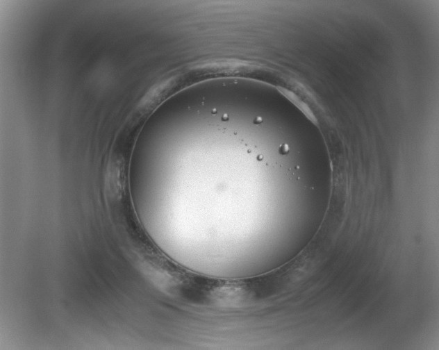 X0000081570119200701221103