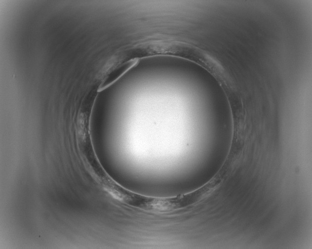 X0000081570121200701221103