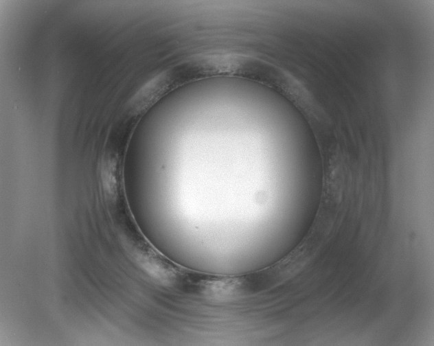 X0000081570122200701221103