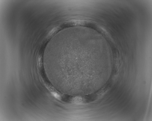 X0000081570123200701221103