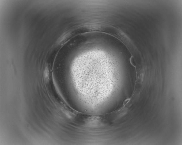 X0000081570124200701221103