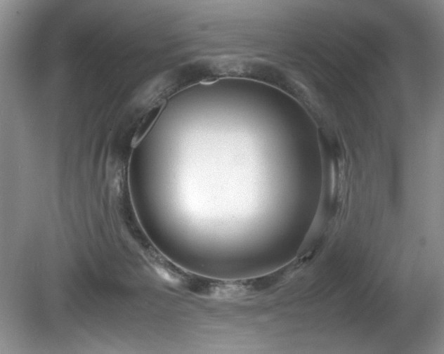 X0000081570125200701221103