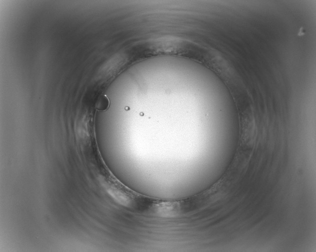 X0000081570126200701221103