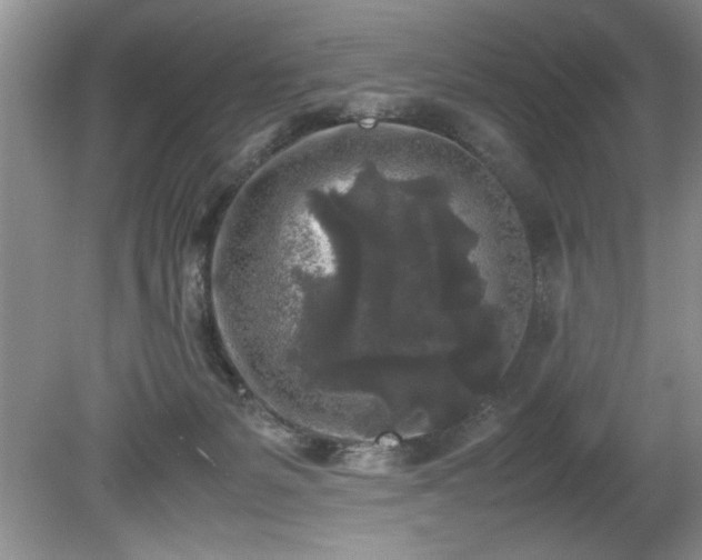 X0000081570127200701221103