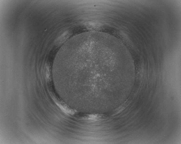 X0000081570130200701221103