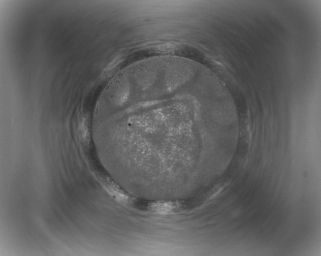 X0000081570131200701221103