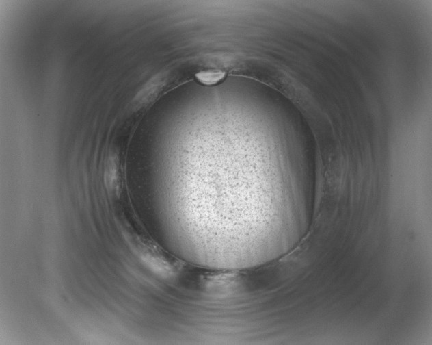 X0000081570132200701221103