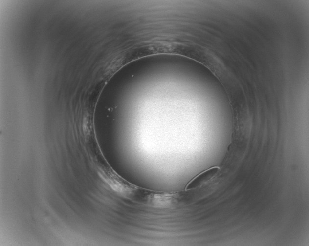 X0000081570134200701221102