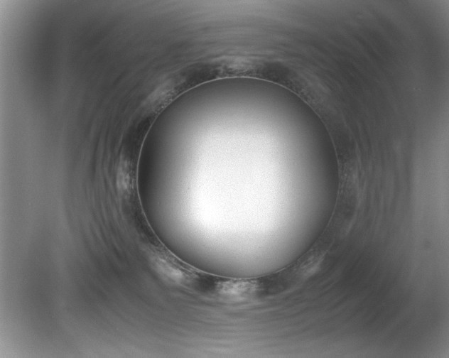 X0000081570135200701221102