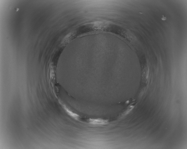 X0000081570137200701221102