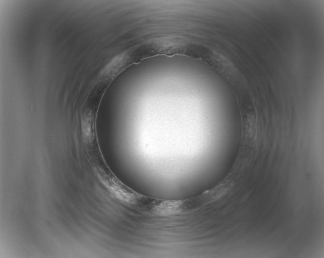 X0000081570138200701221102