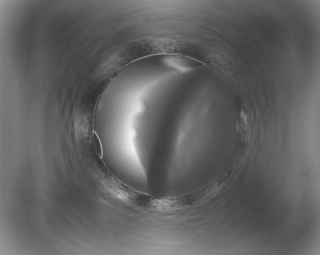 X0000081570139200701221102