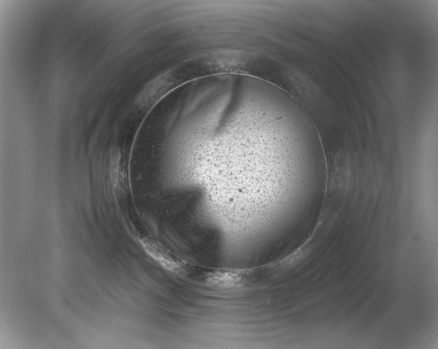 X0000081570140200701221102