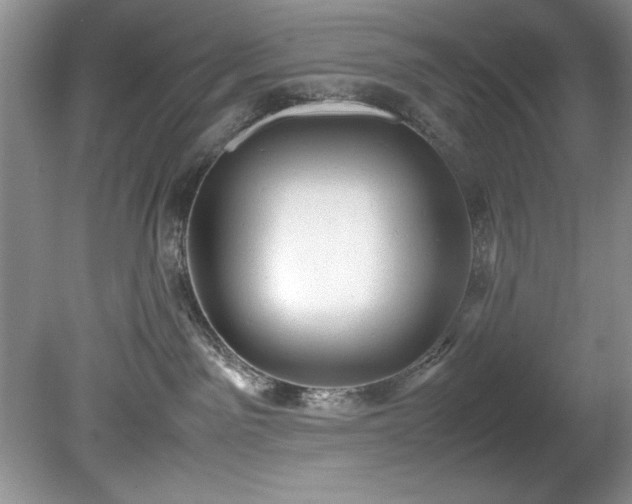 X0000081570141200701221102