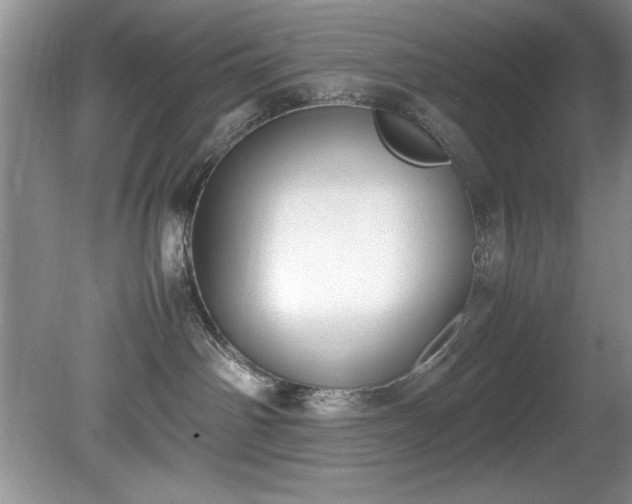 X0000081570142200701221102