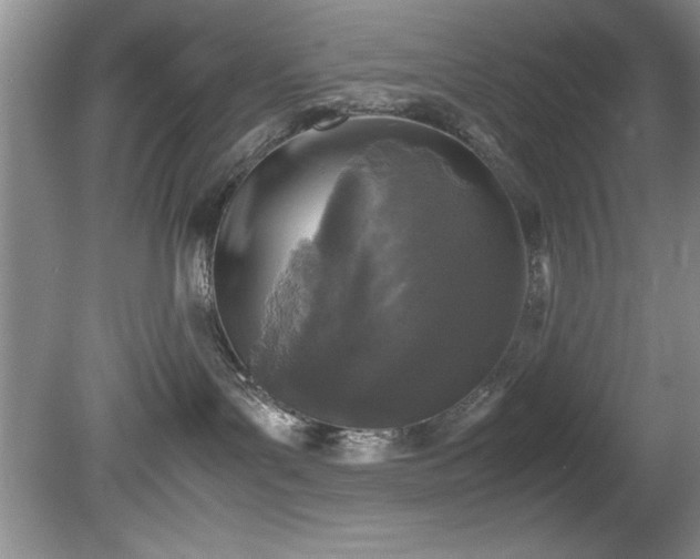 X0000081570143200701221102