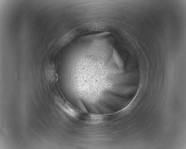 X0000081570144200701221102