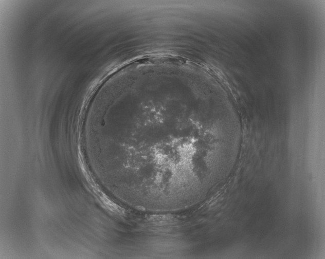 X0000081570145200701221101