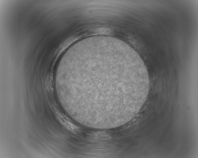 X0000081570146200701221101