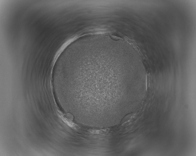 X0000081570147200701221102