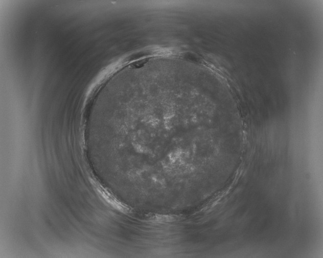 X0000081570149200701221102