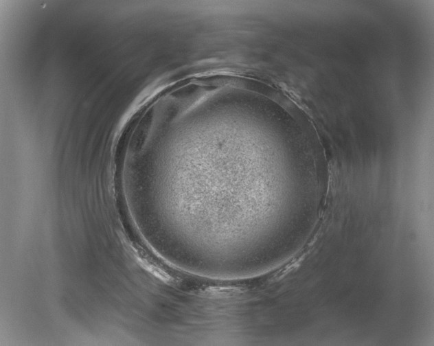 X0000081570150200701221102