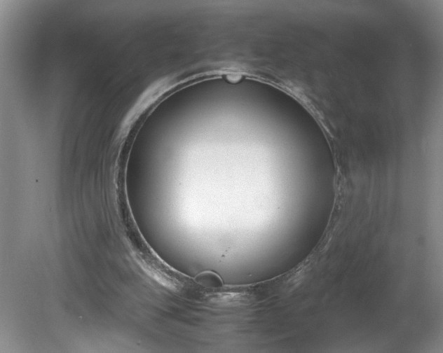 X0000081570151200701221102