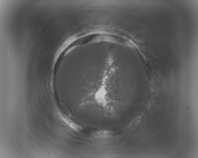 X0000081570152200701221102