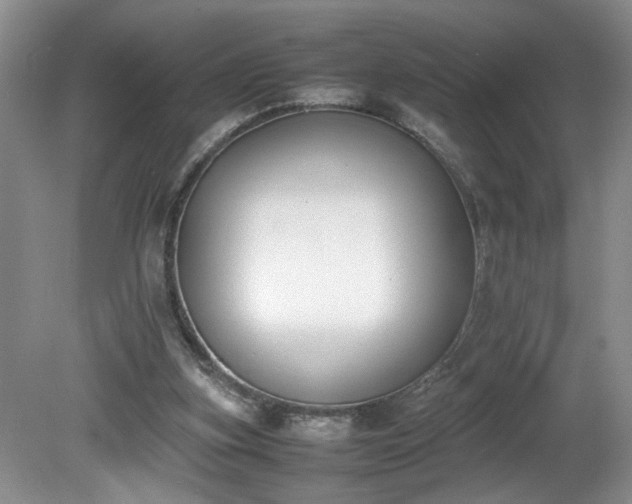 X0000081570155200701221102