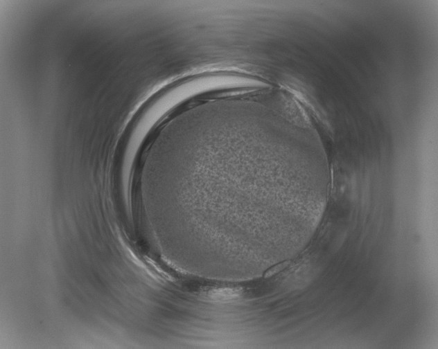 X0000081570156200701221102