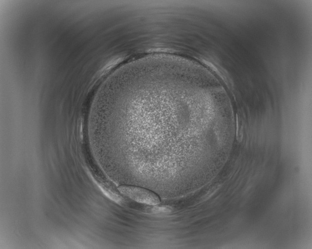 X0000081570157200701221102